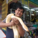 Man met python, Baguio